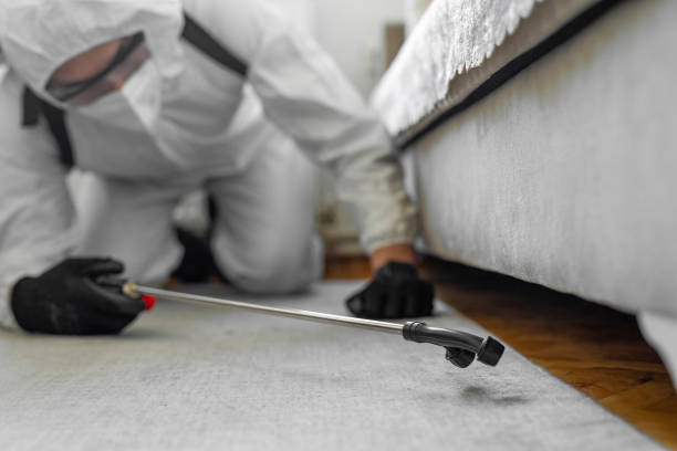 Professional Wasp Control technician working in West Yarmouth, MA