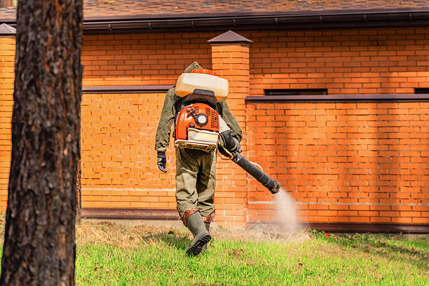 Trusted Mosquito Control service in West Yarmouth, MA - Nex Pest Control